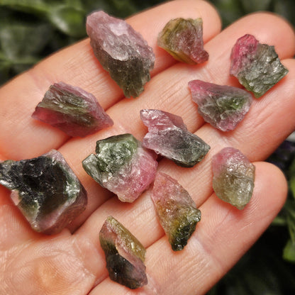 Watermelon Tourmaline Crystal, Choose Your Size, Brazilian Raw Tourmaline Specimen, Green & Pink