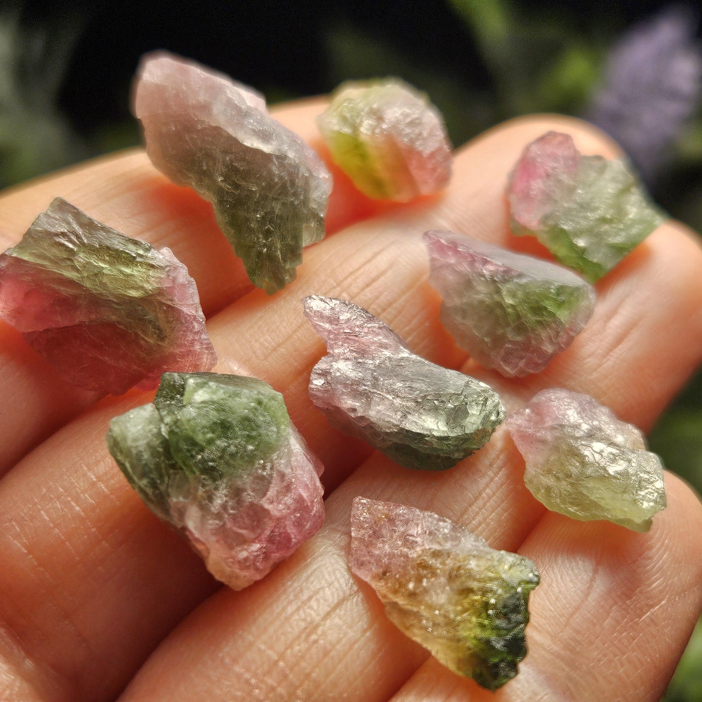 Watermelon Tourmaline Crystal, Choose Your Size, Brazilian Raw Tourmaline Specimen, Green & Pink