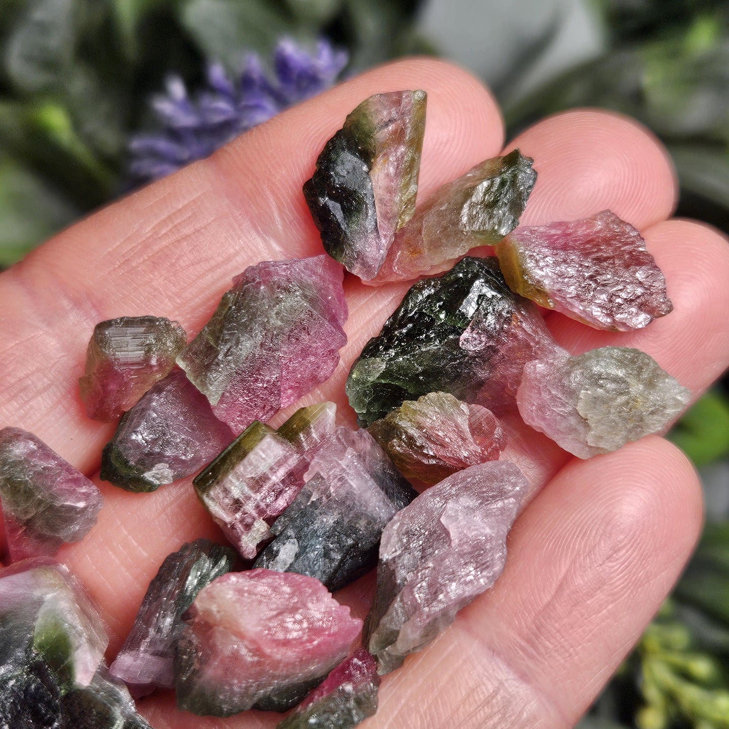 Watermelon Tourmaline Crystal, Choose Your Size, Brazilian Raw Tourmaline Specimen, Green & Pink