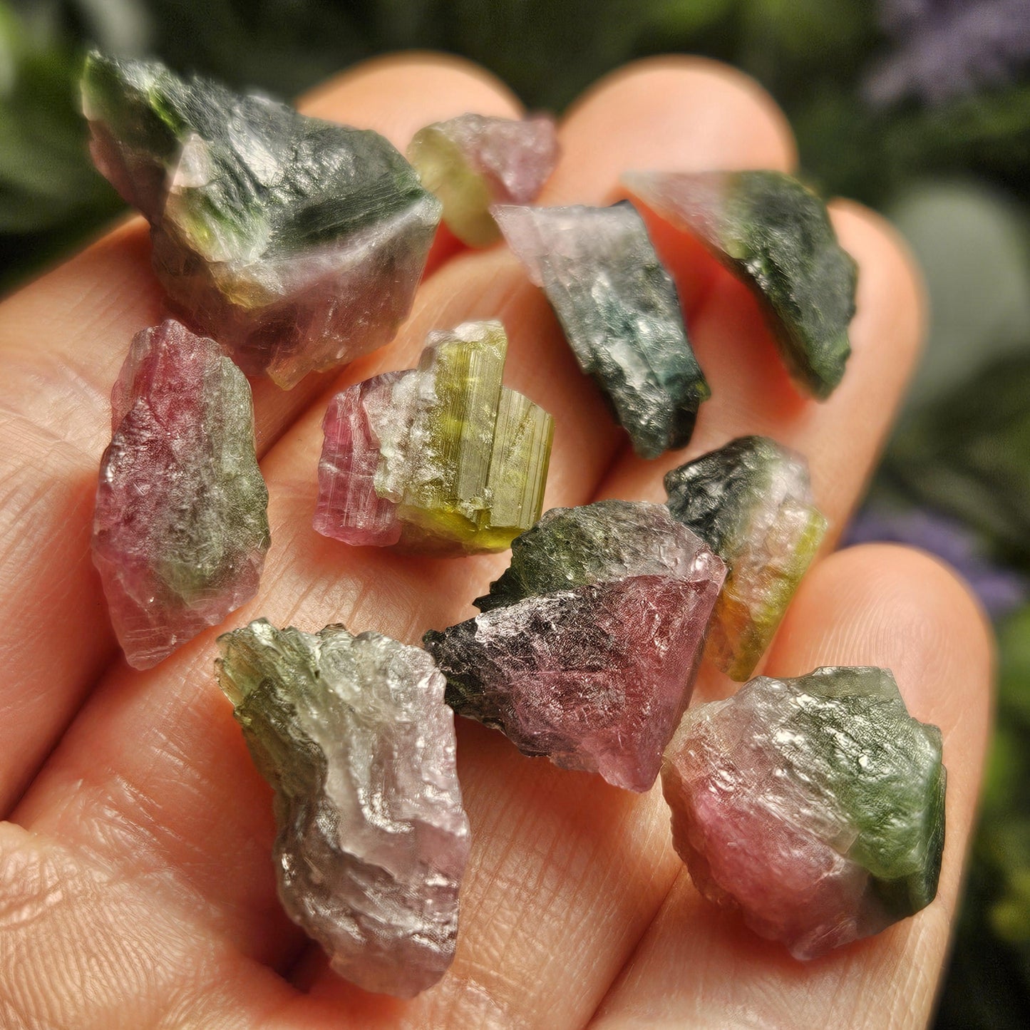 Watermelon Tourmaline Crystal, Choose Your Size, Brazilian Raw Tourmaline Specimen, Green & Pink