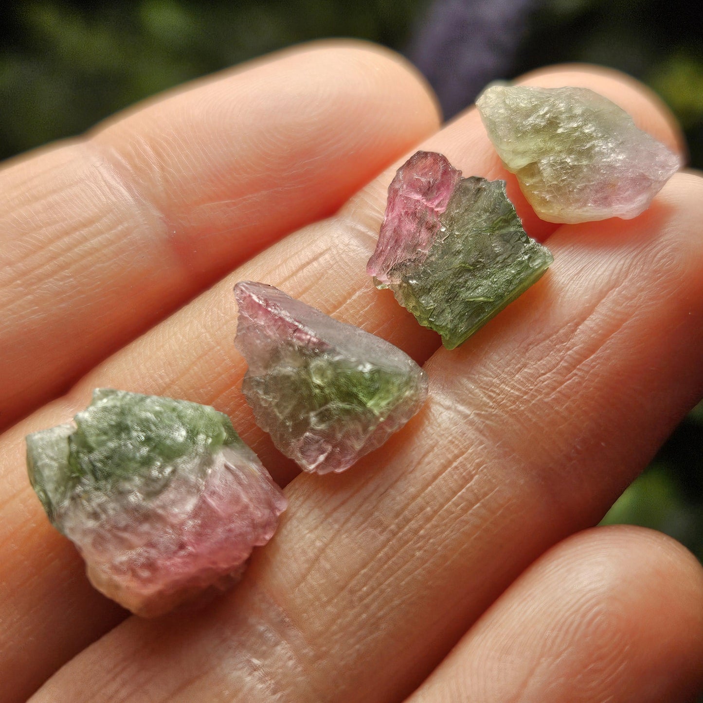 Watermelon Tourmaline Crystal, Choose Your Size, Brazilian Raw Tourmaline Specimen, Green & Pink