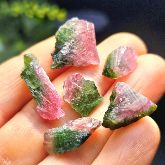 Watermelon Tourmaline Crystal, Choose Your Size, Brazilian Raw Tourmaline Specimen, Green & Pink