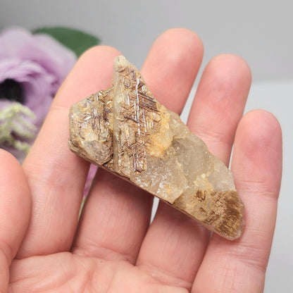 Golden Sagenite Rutile in Diamantina Quartz 41g, Brazilian Geometric Rutilated Quartz