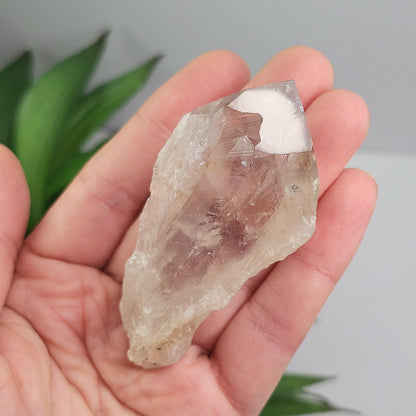 UV Phantom Powellite Amethyst 58g, Bahia Brazil Crystal