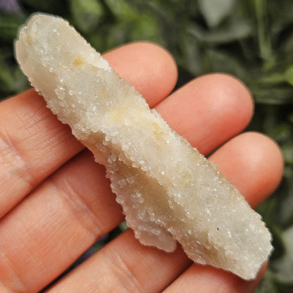 Cactus Quartz (1.5
