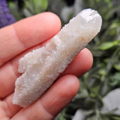 Cactus Quartz (1.5