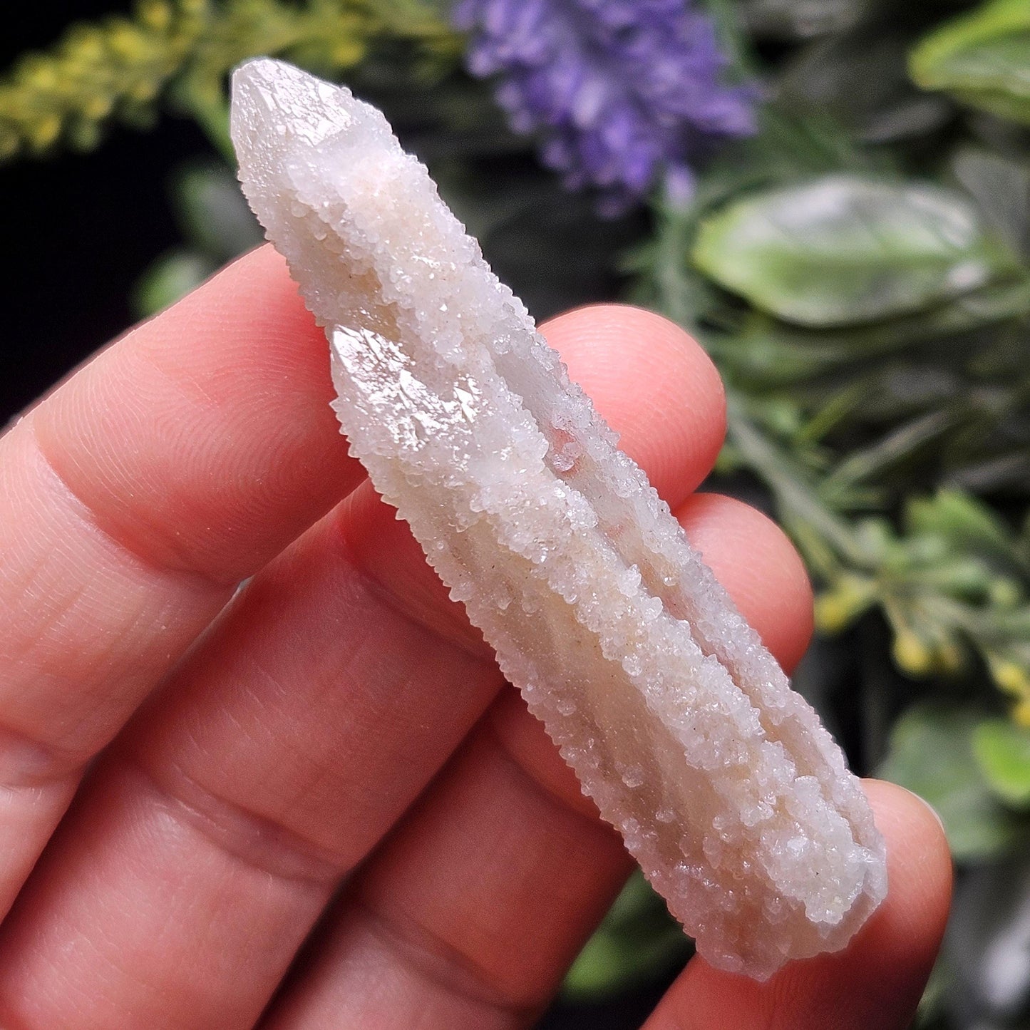 Cactus Quartz (1.5