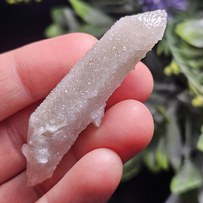 Cactus Quartz (1.5