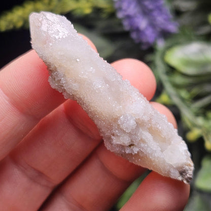 Cactus Quartz (1.5