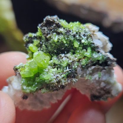 Pyromorphite Crystal Cluster, Rare Green Pseudomorph Specimen (40x30mm)
