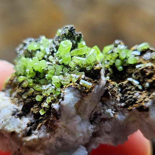 Pyromorphite Crystal Cluster, Rare Green Pseudomorph Specimen (40x30mm)