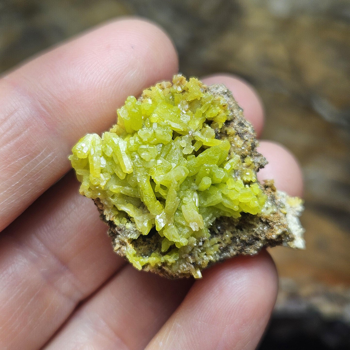 Pyromorphite Crystal Cluster, Rare Green Pseudomorph Specimen (35x30mm)