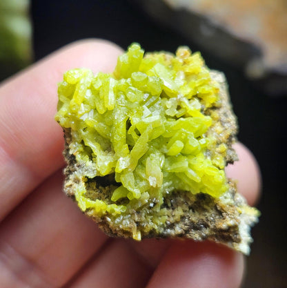 Pyromorphite Crystal Cluster, Rare Green Pseudomorph Specimen (35x30mm)