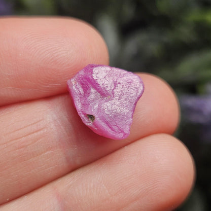 Rare Collector’s Set: Moldavite, Phenacite, Tanzanite, Ruby