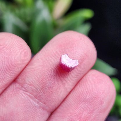 Bixbite Red Beryl Crystal from Utah .55ct, Red Emerald Gemstone