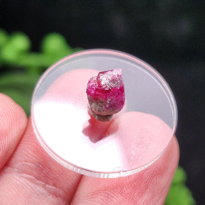 Bixbite Crystal, Terminated Red Beryl Crystal from Utah 1.9ct, Red Emerald Bixbite Gem