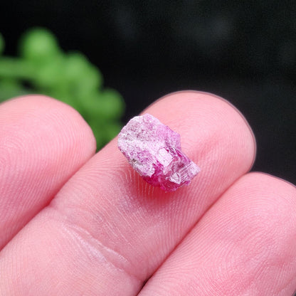 Bixbite Crystal, Terminated Red Beryl Crystal from Utah 1.9ct, Red Emerald Bixbite Gem