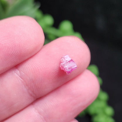 Bixbite Crystal, Terminated Red Beryl Crystal from Utah 0.5ct, Red Emerald Bixbite Gem
