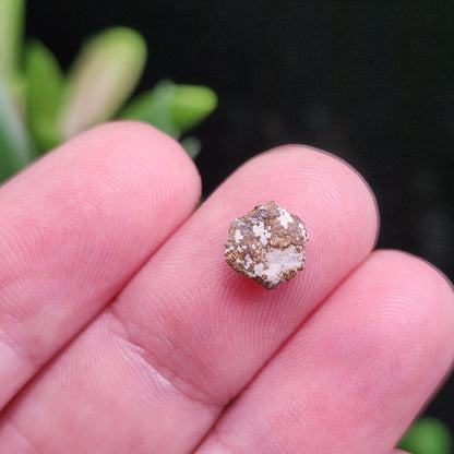 Bixbite Red Beryl Crystal from Utah .8ct, Red Emerald Gemstone