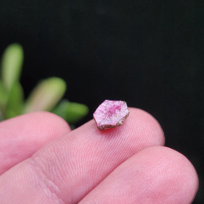 Bixbite Red Beryl Crystal from Utah .8ct, Red Emerald Gemstone