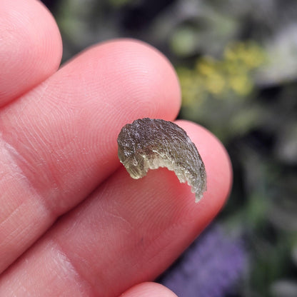 Rare Collector’s Set: Moldavite, Phenacite, Tanzanite, Ruby