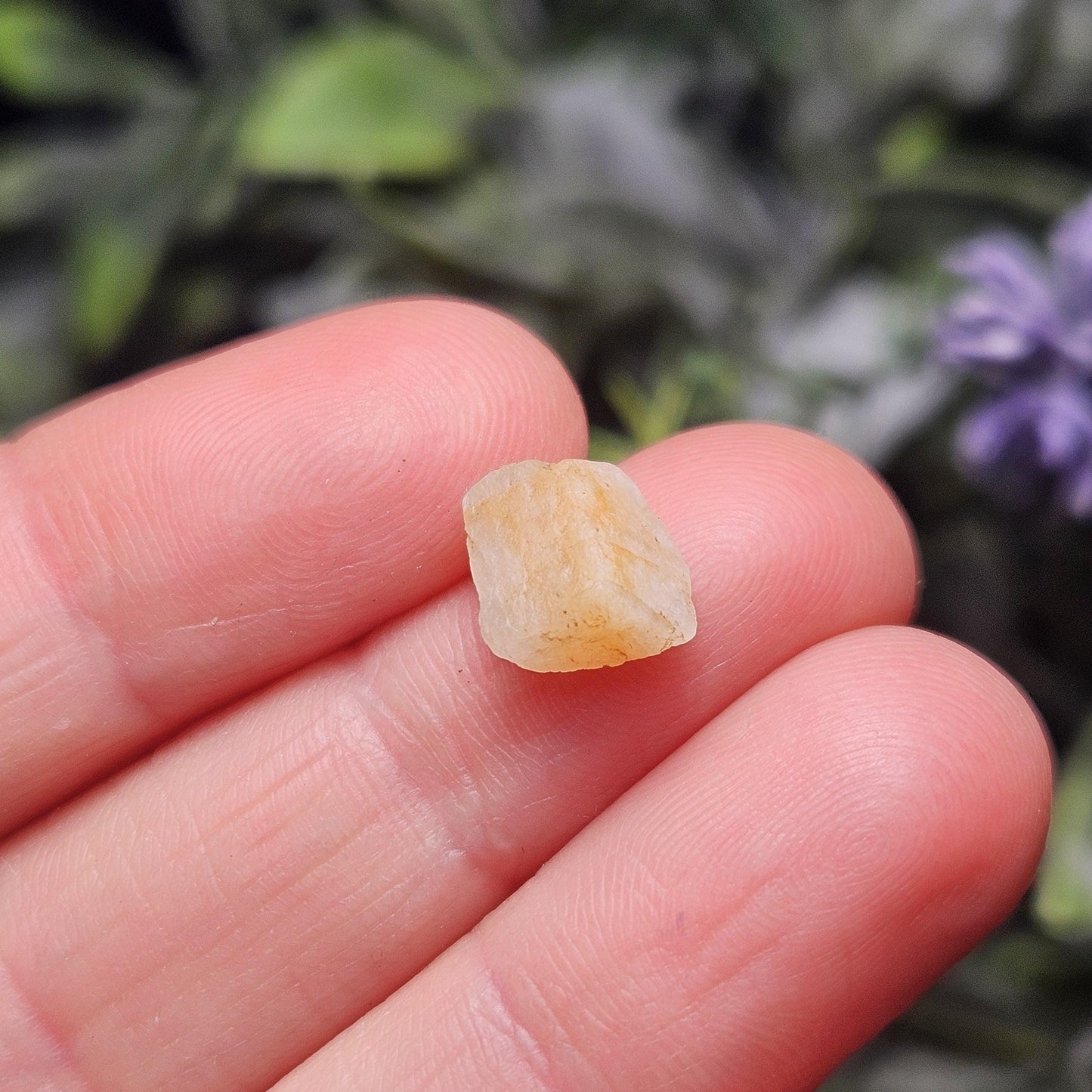 Rare Collector’s Set: Moldavite, Phenacite, Tanzanite, Ruby