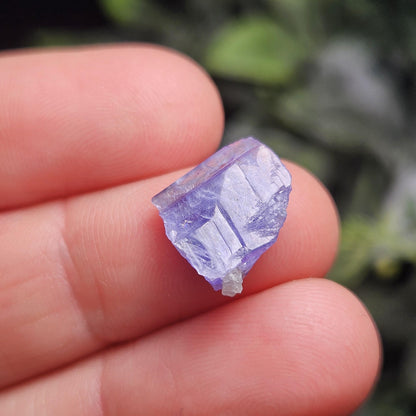 Rare Collector’s Set: Moldavite, Phenacite, Tanzanite, Ruby