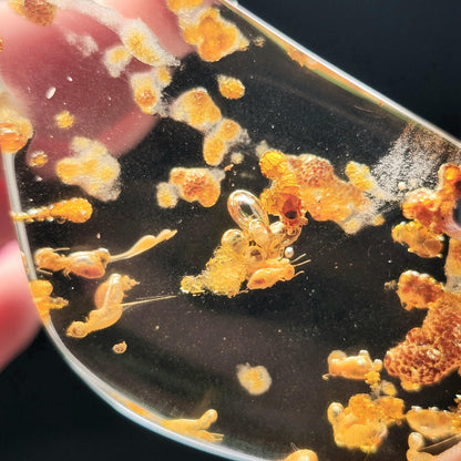 Amber with Bugs, Static ENHYDRO Bubbles and Natural Hole Inclusion 9.48g, Natural Amber Fossil with Insects