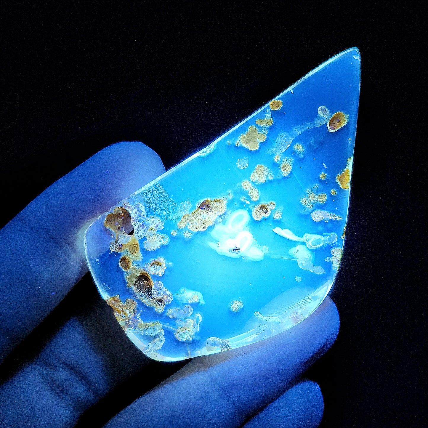 Amber with Bugs, Static ENHYDRO Bubbles and Natural Hole Inclusion 9.48g, Natural Amber Fossil with Insects