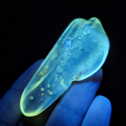 Amber with Bugs & Static ENHYDRO 30g, UV Reactive Natural Amber Fossil with Insect Inclusions