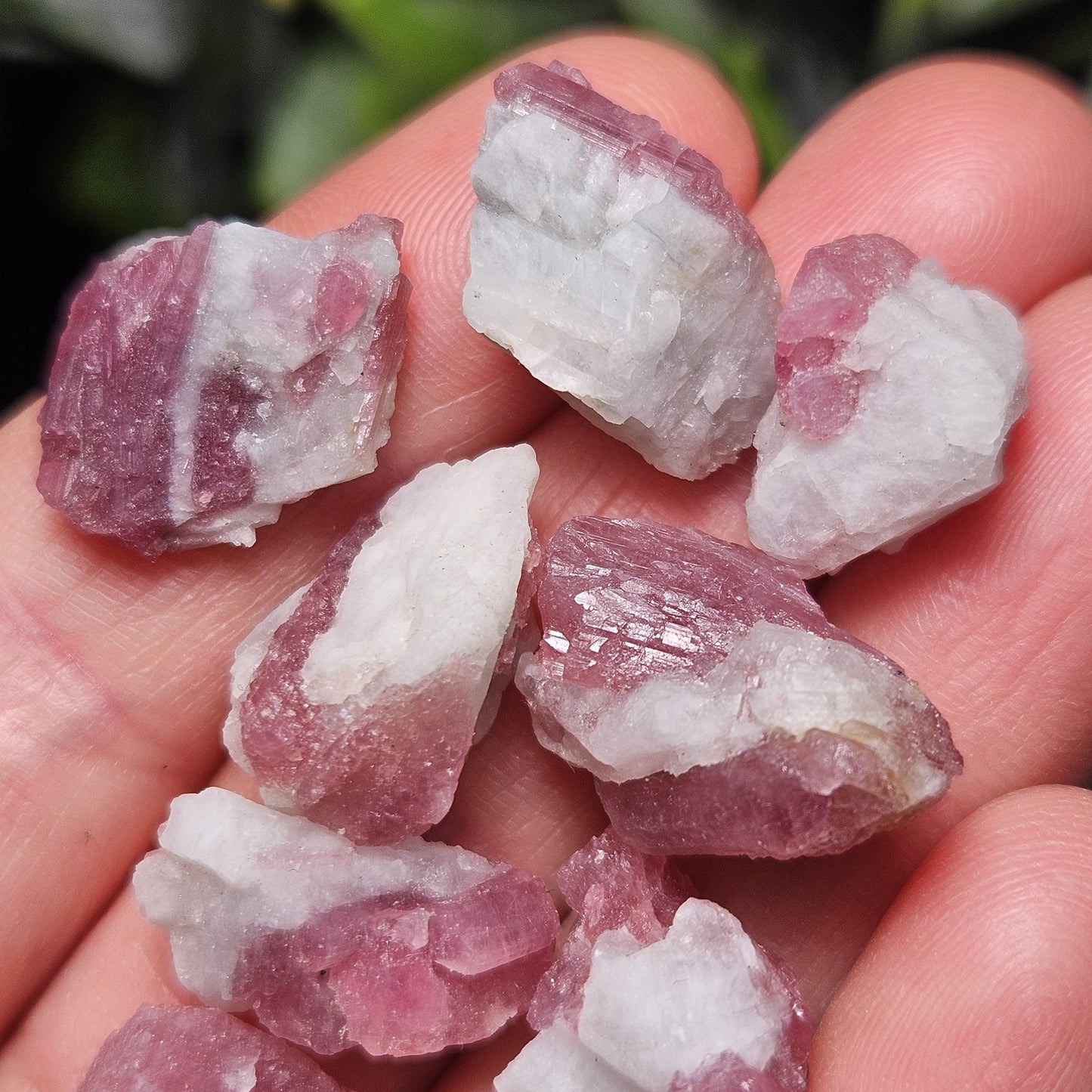 Pink Tourmaline & Quartz, Raw Crystal from Brazil