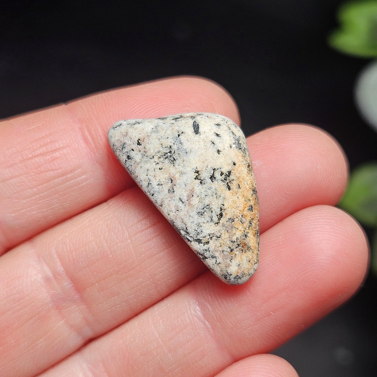 Phenacite from Norway in Gneiss Matrix, Polished Norwegian Phenakite Crystal Specimen (2 to 4 grams)