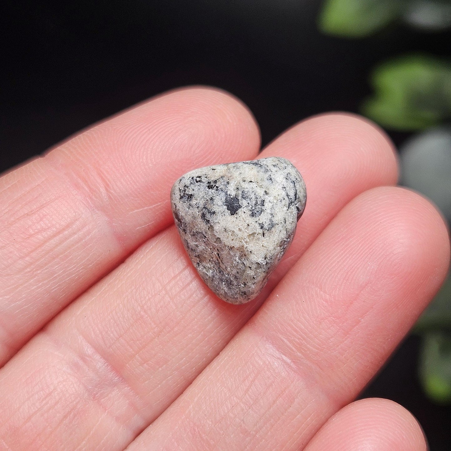 Phenacite from Norway in Gneiss Matrix, Polished Norwegian Phenakite Crystal Specimen (2 to 4 grams)