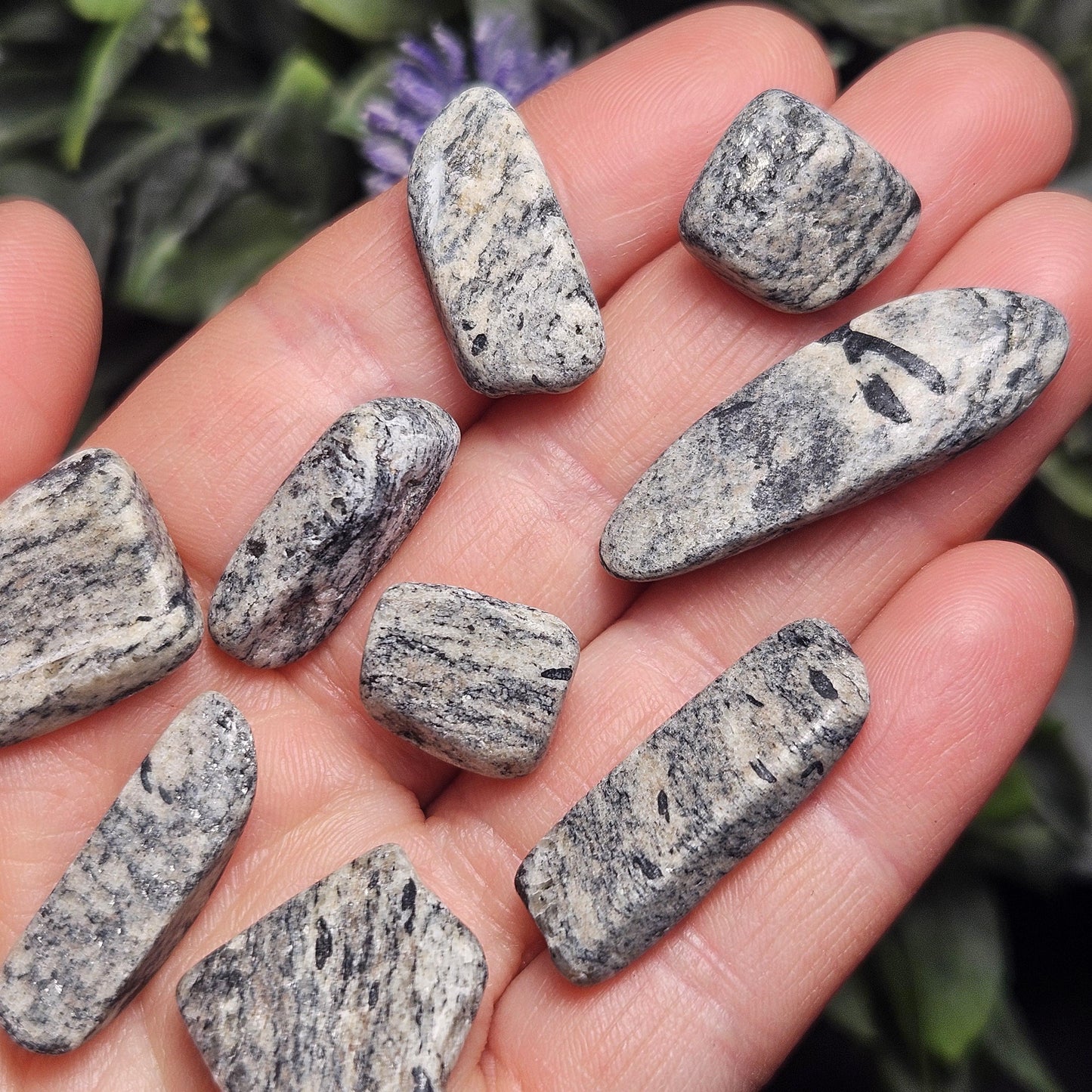 Phenacite from Norway in Gneiss Matrix, Polished Norwegian Phenakite Crystal Specimen (2 to 4 grams)