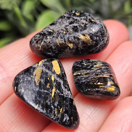 Greenland Nuummite Tumbled Stone, Authentic Nuummite Crystal