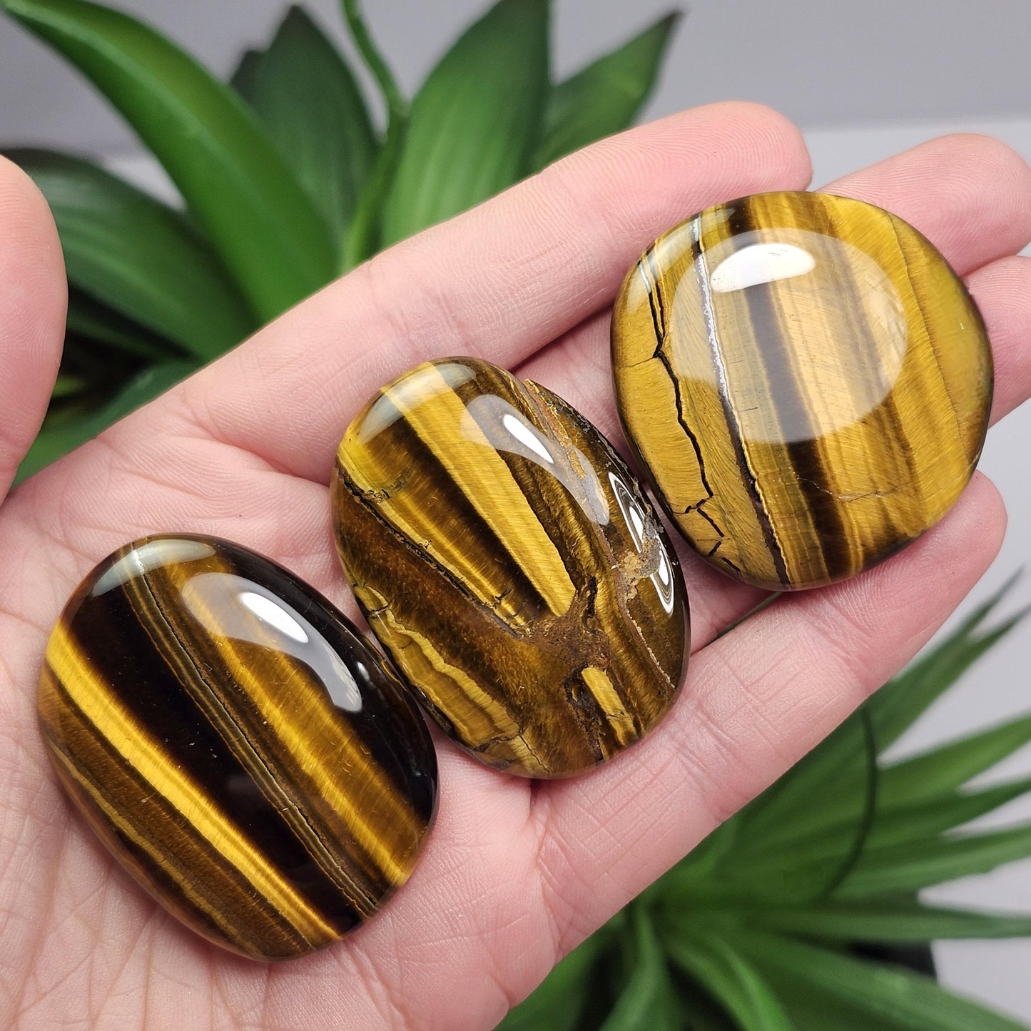 Tiger's Eye Palm Stone, Polished Tigers Eye Crystal
