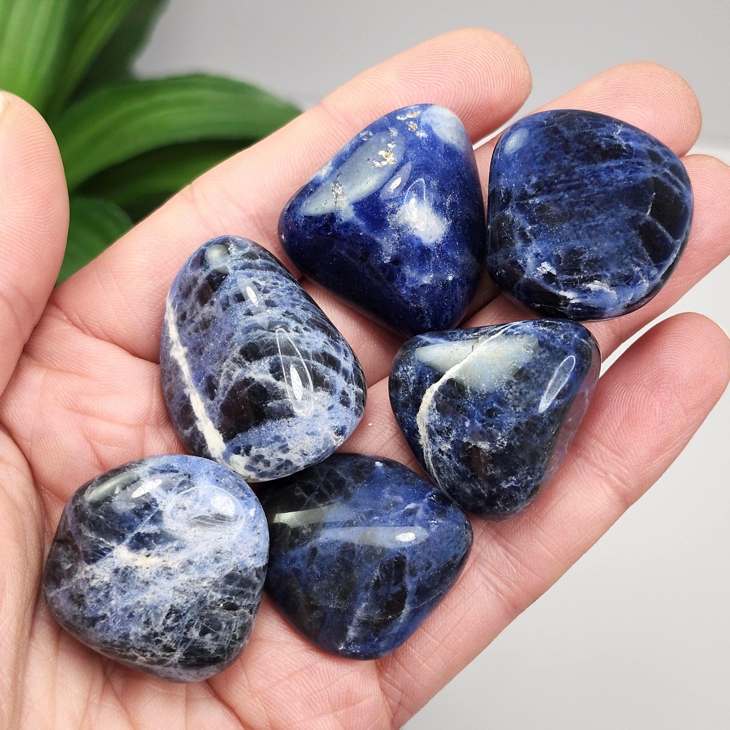 Sodalite Crystal Specimen (.75