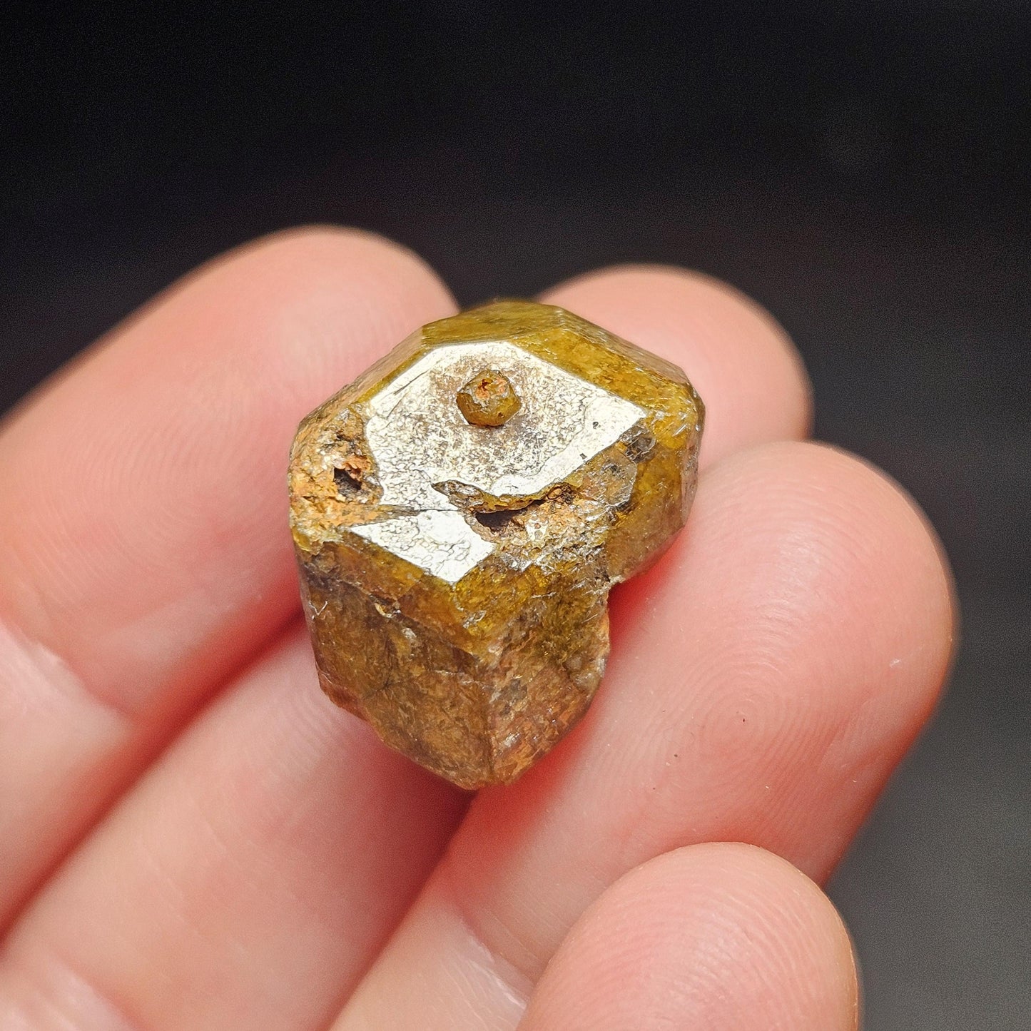 Mali Green Garnet Crystal, Raw Garnet Dodecahedron, Andradite & Grossular Specimens