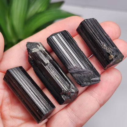 Terminated Black Tourmaline Crystal (1.25"+), Raw Tourmaline Stone Specimen