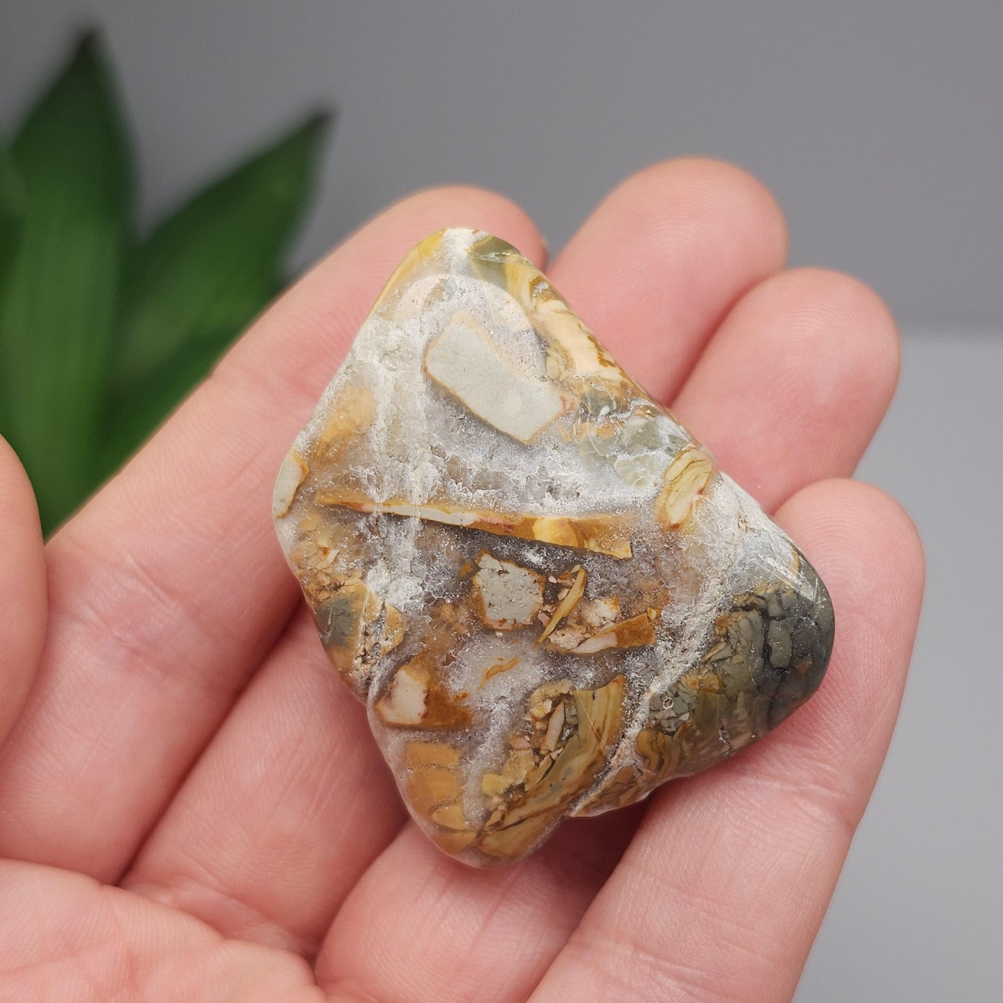 Ibis Jasper Crystal from Madagascar (30