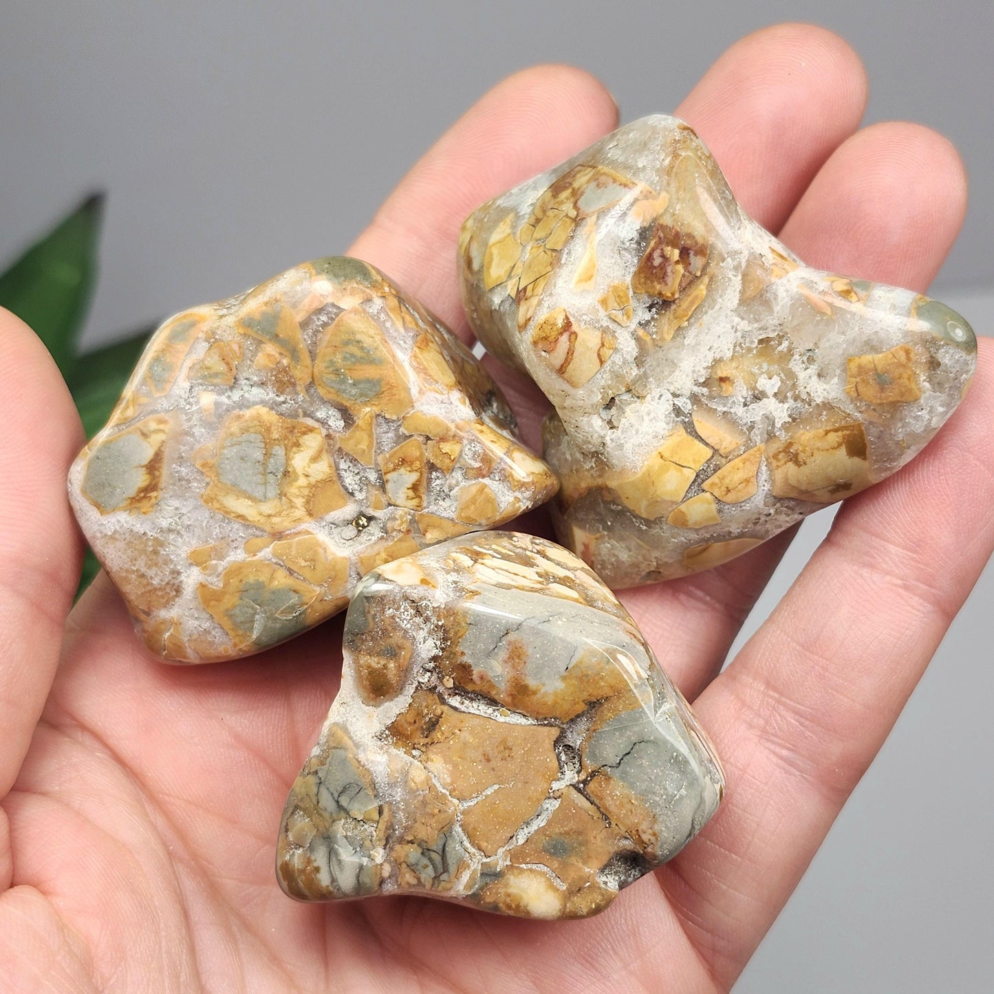 Ibis Jasper Crystal from Madagascar (30