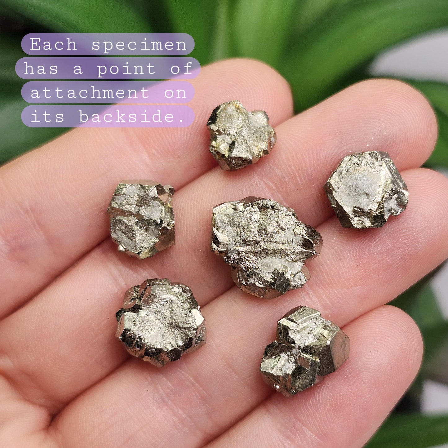 Pyrite Crystal Cluster from Spain, Spanish Pyrite Specimen, Raw Fools Gold
