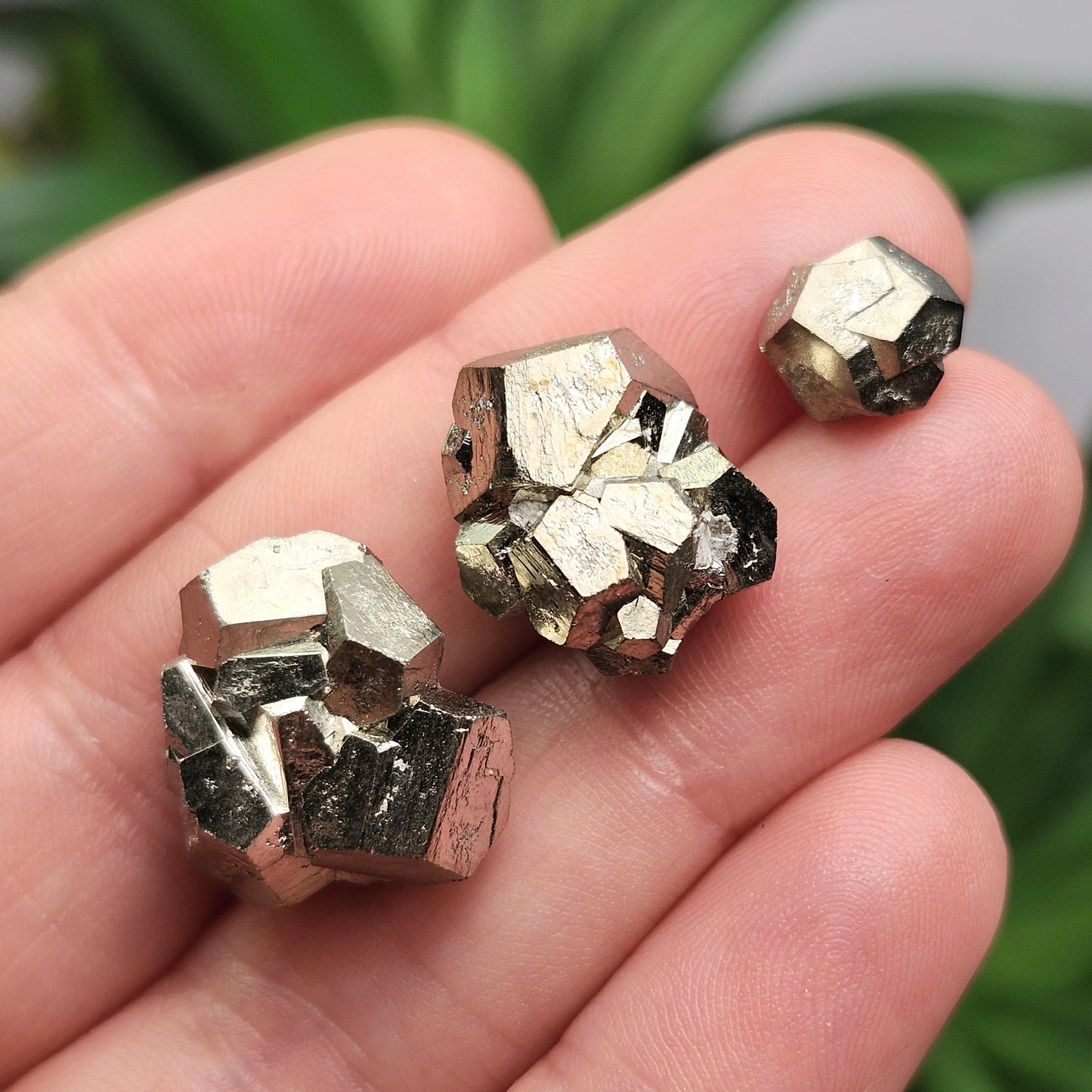 Pyrite Crystal Cluster from Spain, Spanish Pyrite Specimen, Raw Fools Gold