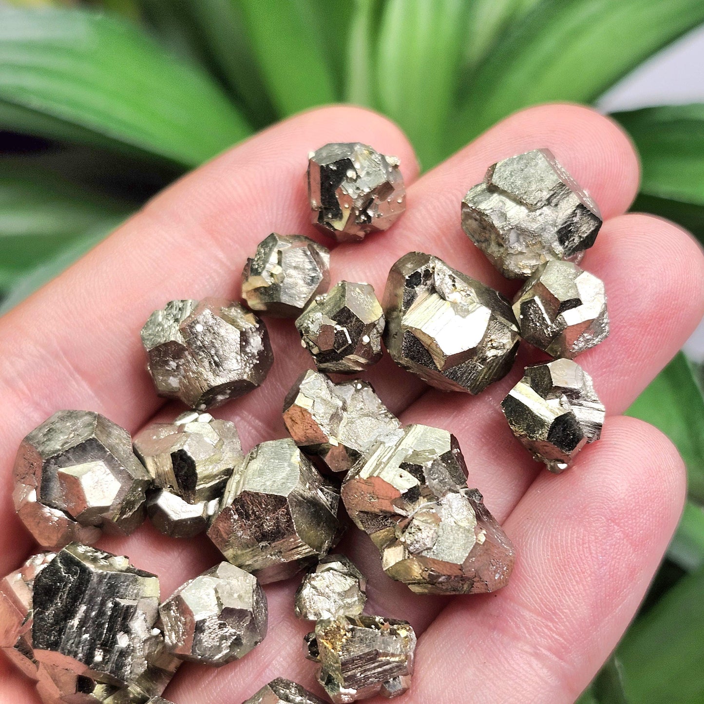 Pyrite Crystal Cluster from Spain, Spanish Pyrite Specimen, Raw Fools Gold