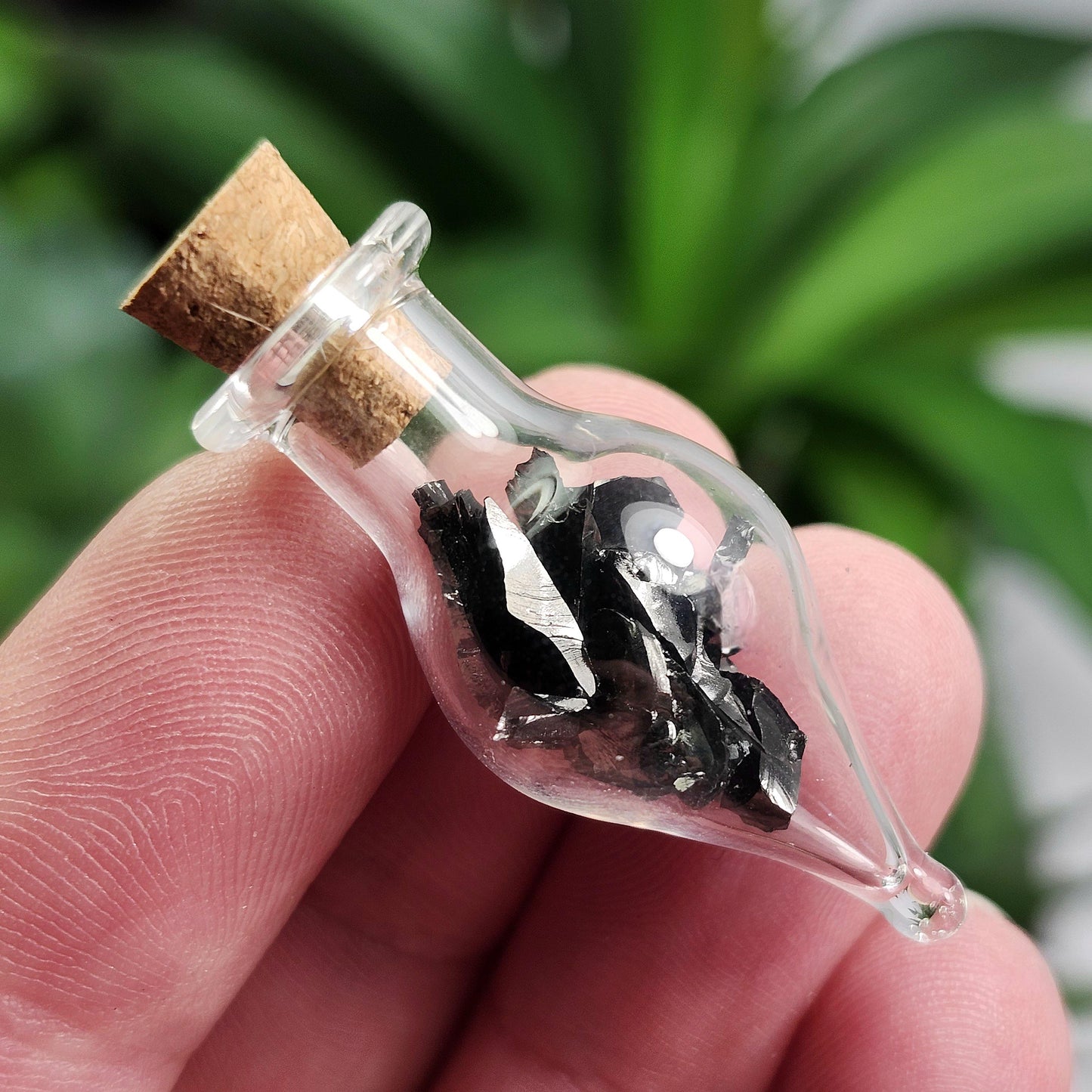 Shungite Crystals in Glass Jar, Elite Noble Shungite Raw Stone