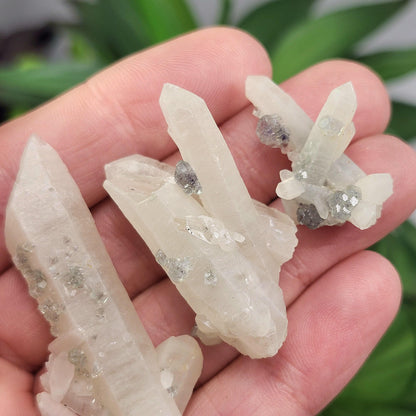 UV Reactive Fluorite on Quartz, Fluorescent Fluorite & Quartz