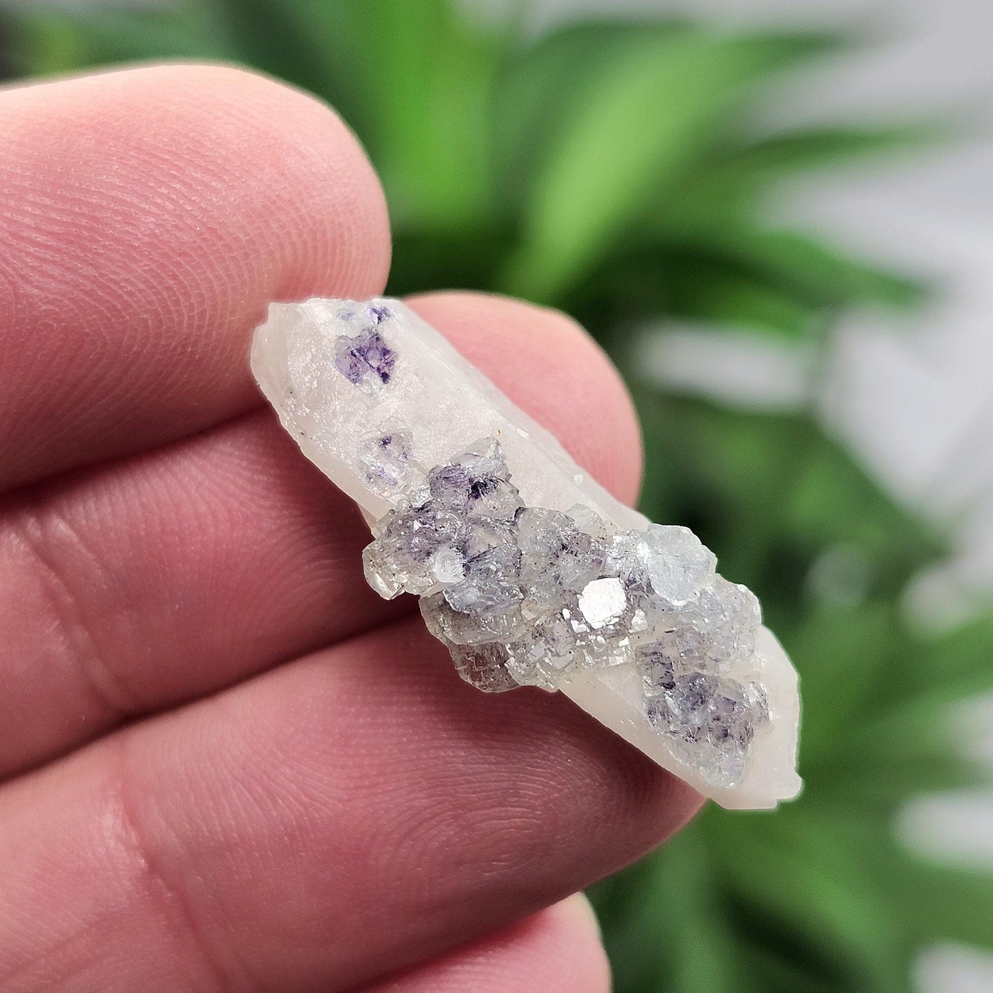 UV Reactive Fluorite on Quartz, Fluorescent Fluorite & Quartz