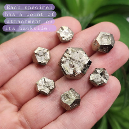 Pyrite Crystal from Spain, Raw Fool's Gold Specimen