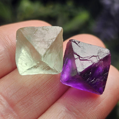 Purple & Green Fluorite Pair of Octahedrons, Raw Fluorite Crystals, China Mined