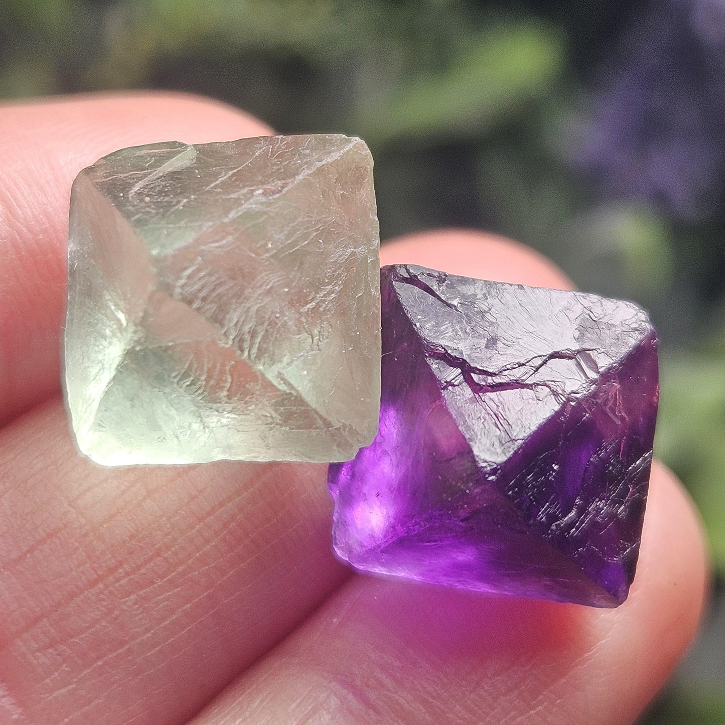 Purple & Green Fluorite Pair of Octahedrons, Raw Fluorite Crystals, China Mined
